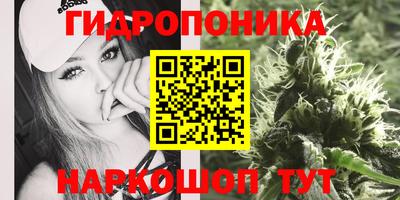 МДПВ Гусев