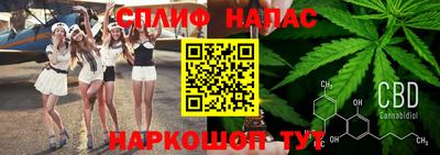 МДПВ Гусев