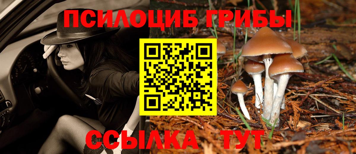 Псилоцибиновые грибы GOLDEN TEACHER Миасс